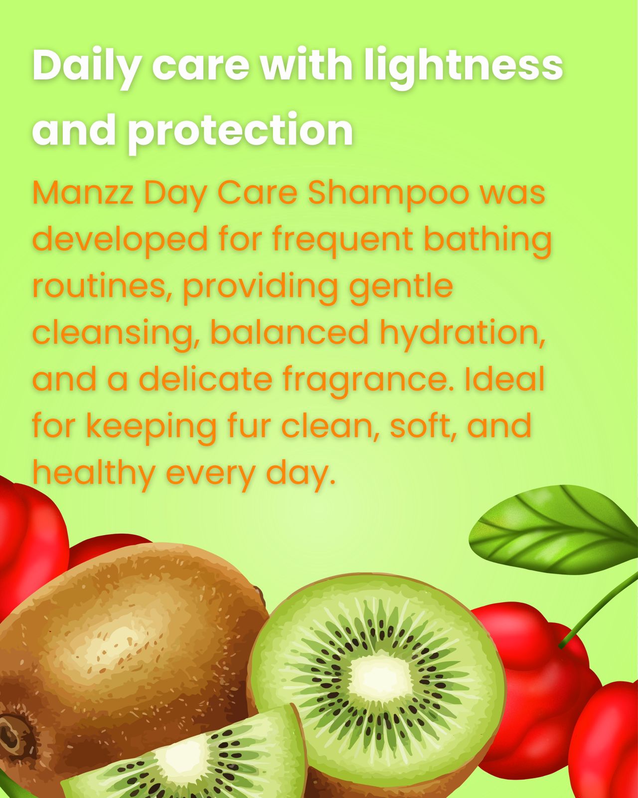 Day Care Shampoo 5L